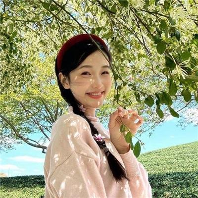 禁止入内的鼹鼠